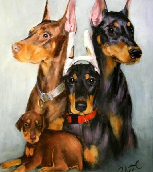 Доберман-пинчер и Бигль