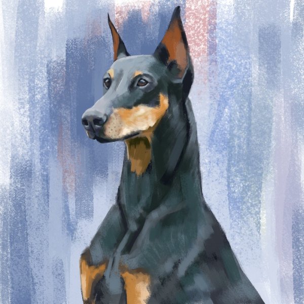 Доберман мастихином