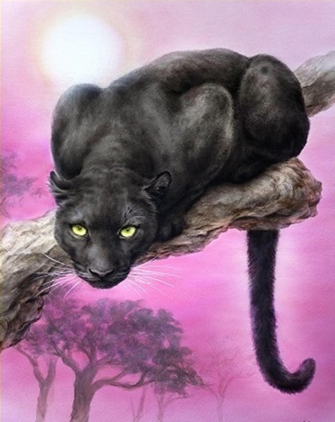 Алмазная мозаика пантера черная