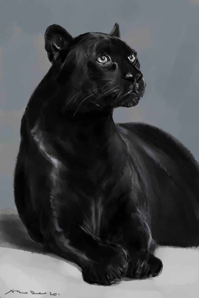 Грациозная пантера