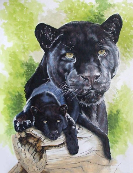 «Алмазная мозаика "пантера"»