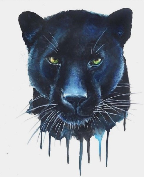 Пантера для рисования