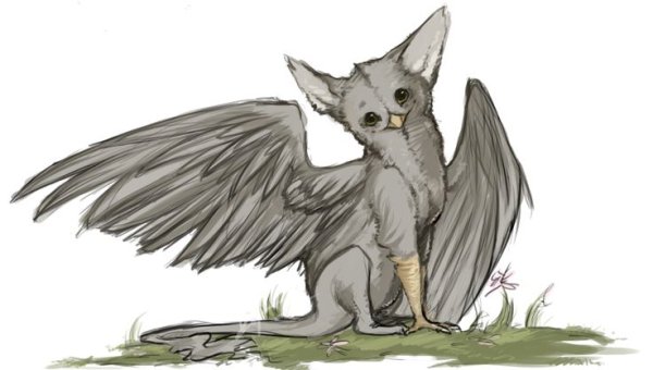 Наоми Лорд гиппогриф