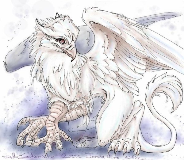 Грифон аниме