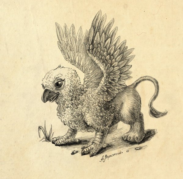 Птенец грифона