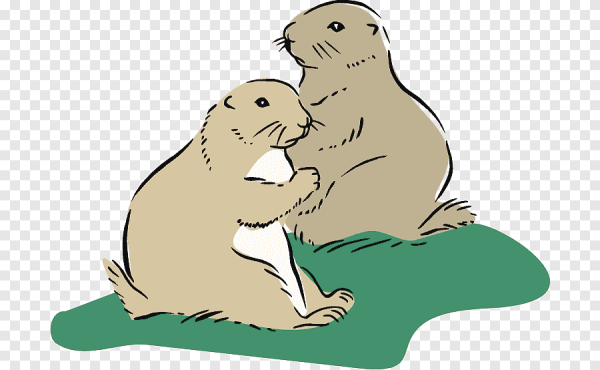 Сурок рисунок