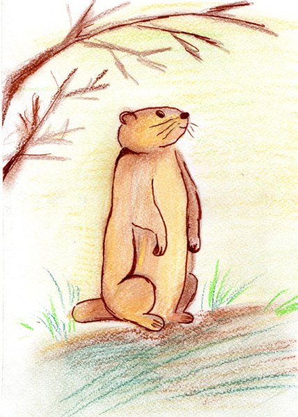Суслик для рисования