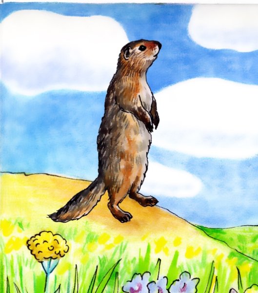 Суслик для рисования