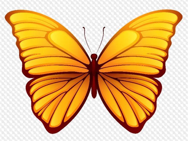 Желтая бабочка на прозрачном фоне