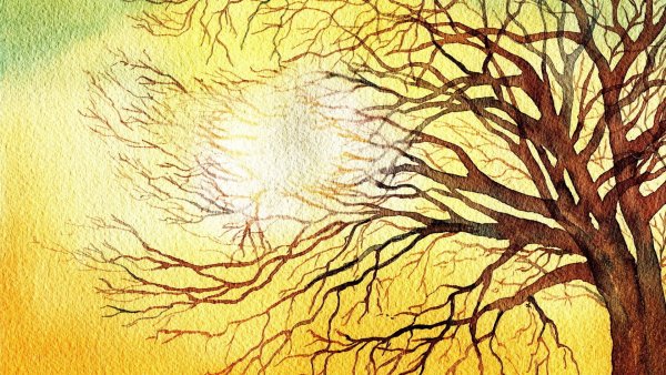 Дерево абстракция