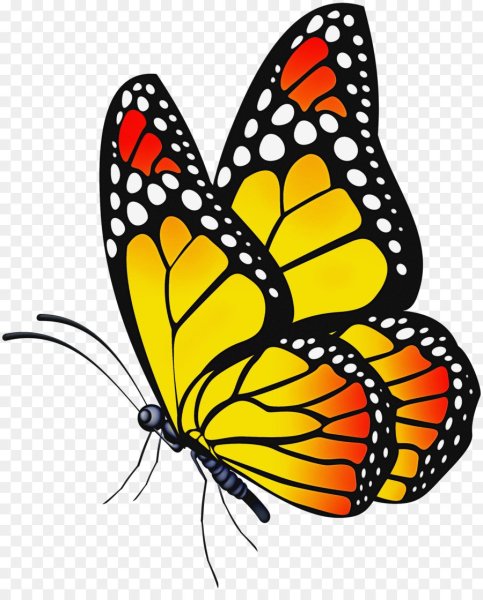 Бабосики на прозрачном фоне