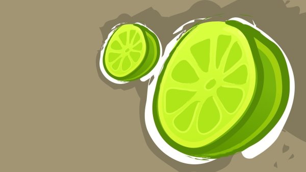Лайм в разрезе