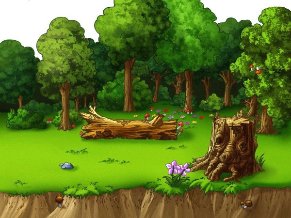 Сказочная Полянка в лесу