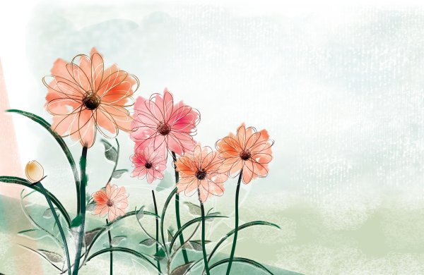 Фон цветы нарисованные