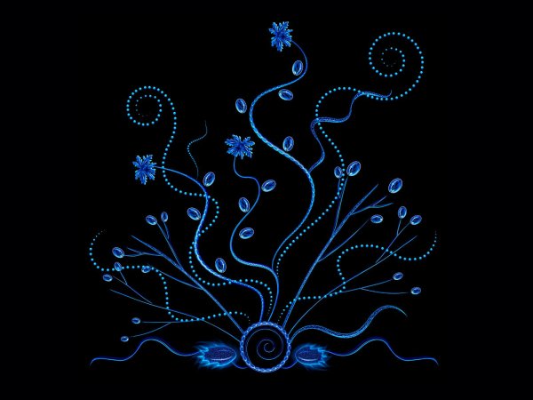 Красивые узоры на черном фоне