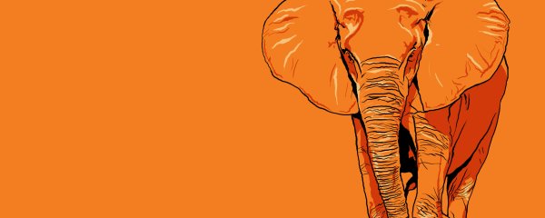 Слон на оранжевом фоне