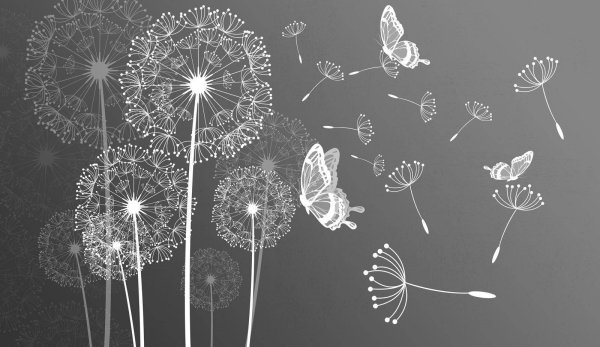 Фотообои одуванчик