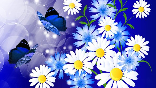 Ромашки на голубом фоне