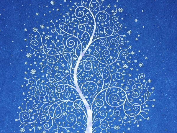 Волшебные деревья зимой