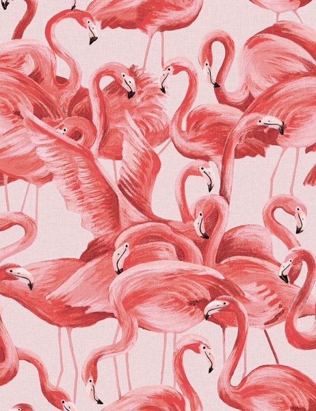 Принты с Фламинго