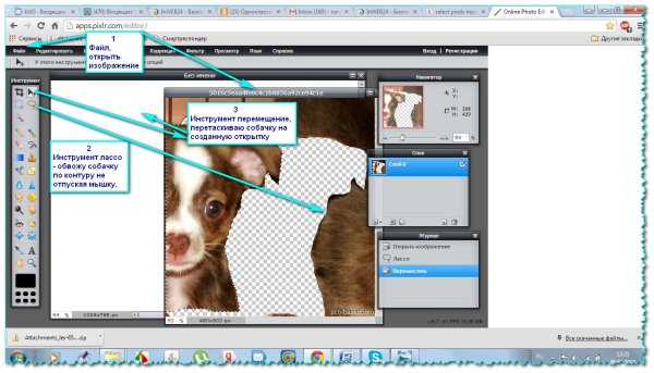 Вырезанный фон для фотошопа