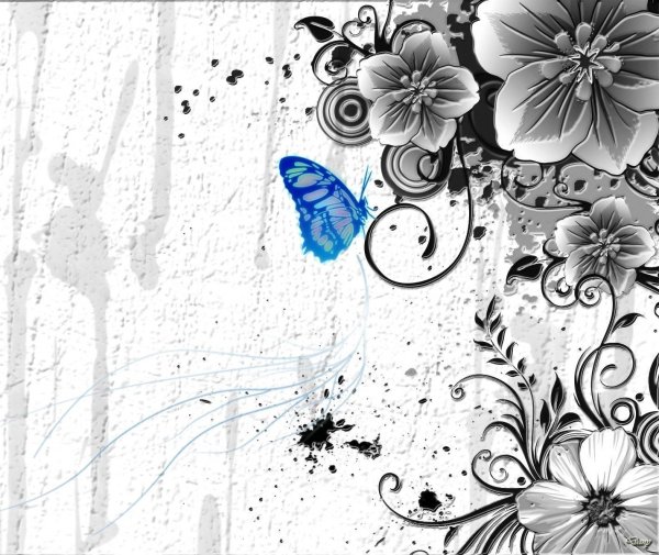 Красивые черные рисунки