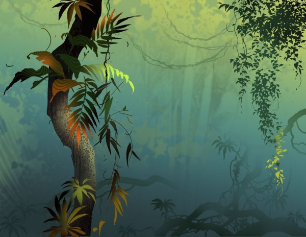 Сказочные джунгли