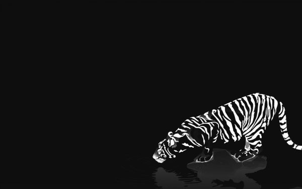 Чёрно-белые заставки