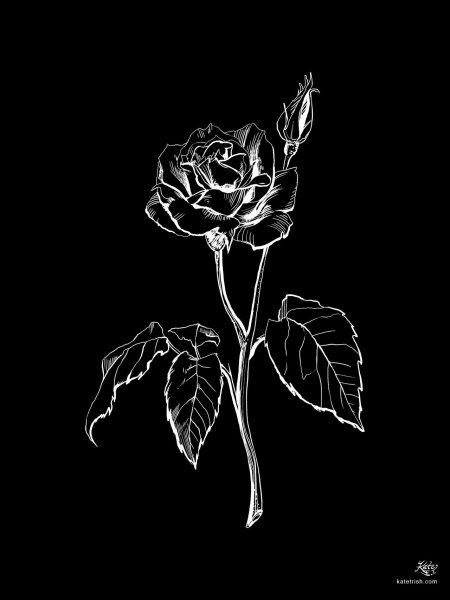 Черное на черном фоне