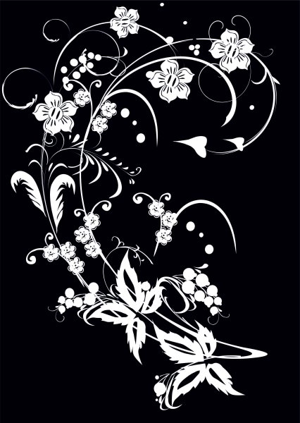 Черно-белый цветок