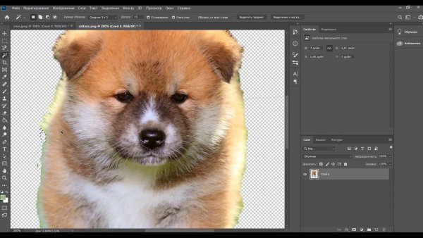 Удалить фон с картинки фотошоп