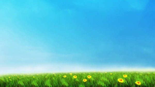 Летний фон для презентации