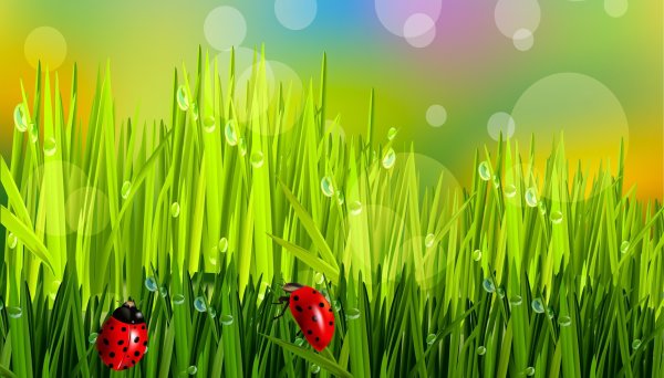 Зеленая Поляна с Божьей коровкой