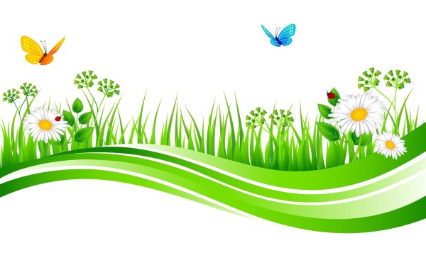 Полянку лето на белом фоне