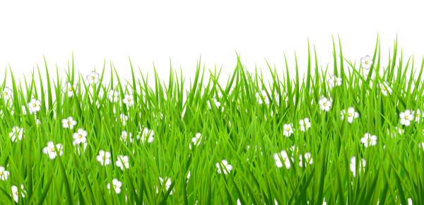 Трава вектор