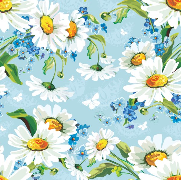 Красивый фон с ромашками