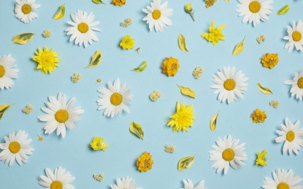 Ромашки паттерн