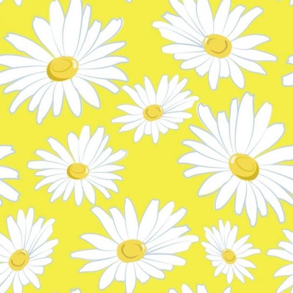 Милый фон с ромашками