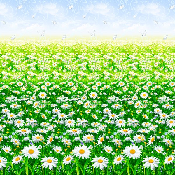 Ромашковое поле дети