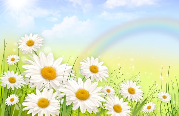 Акварельный фон ромашки