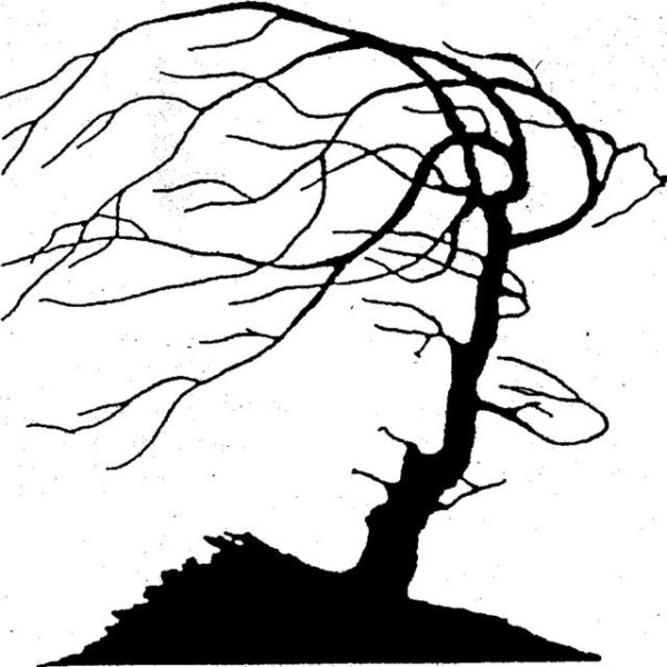 Апперцепция Блейк