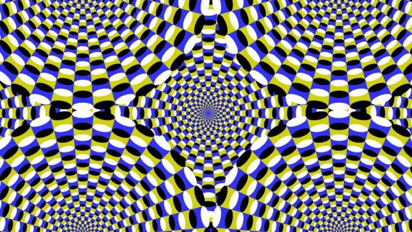 Пропись скелет