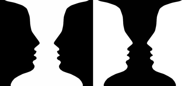 Моя жена и теща оптическая иллюзия