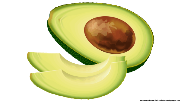Авокадо вектор без фона