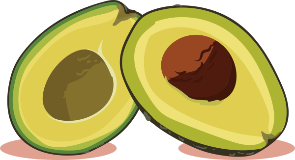 Векторная иллюстрация авокадо