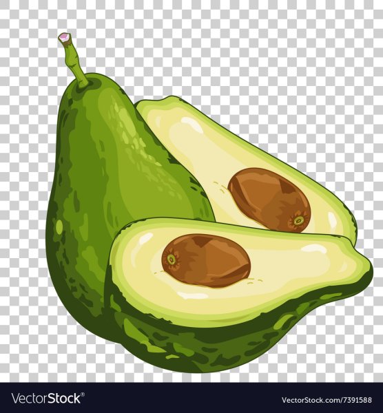 Авокадо рисунок на прозрачном фоне