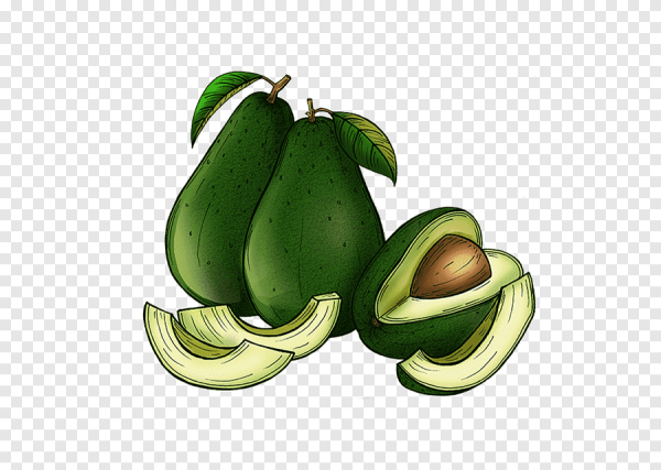 Авокадо стилизация