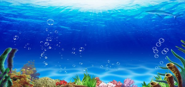 Морское дно для детей