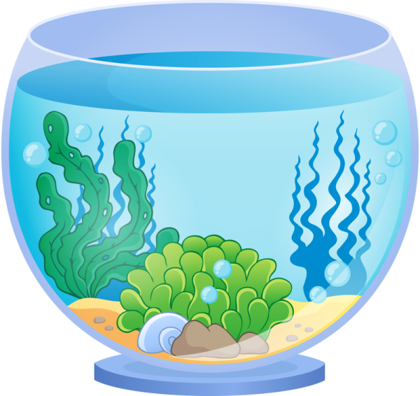 Аквариум для дошкольников