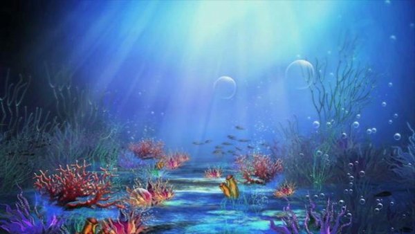 Подводный мир без рыб